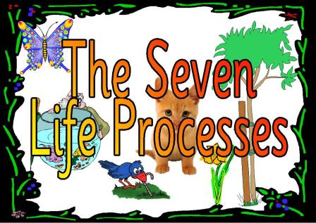Set of 10 posters which illustrate the seven life processes