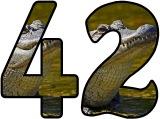 Free printable animal lettering, alligator letters for classroom display, scrapbooking, bulletin board headings.