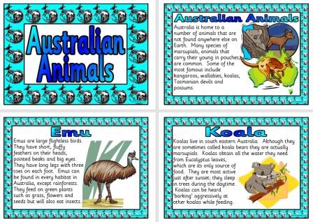 Free Printable Australian Animals Teaching Resource
