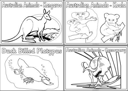 Free Printable Australian Animals Colouring Pages