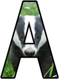Free printable display lettering, digital letters, badger theme
