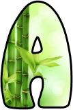Free printable bamboo background instant display digital lettering and number sets for classroom display.