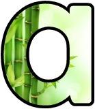 Free printable bamboo background instant display digital lettering and number sets for classroom display.