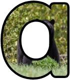 Free printable Bear lettering sets featuring a Black Bear.