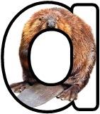 Free printable animal lettering, beaver letters for classroom display, scrapbooking, bulletin board headings.