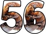 Free printable animal lettering, beaver letters for classroom display, scrapbooking, bulletin board headings.