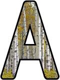 Free printable Silver Birch tree background instant display digital lettering sets for classroom display, scrapbooking etc.