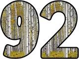 Free printable Silver Birch tree background instant display digital lettering sets for classroom display, scrapbooking etc.