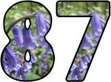 Free printable Bluebell lettering sets.
