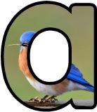 Free printable instant display digital lettering sets with a Bluebird photo background.