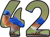 Free printable instant display digital lettering sets with a Bluebird photo background.