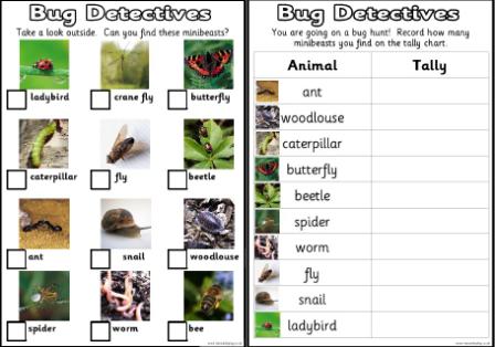 Free Printable Insect Worksheets