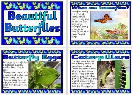 Free Butterflies Posters