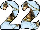 Free printable instant display digital lettering sets with a Buzzard photo background.