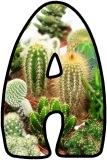 Free printable instant display digital lettering with a cacti plant background.