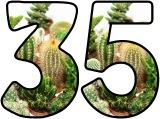 Free printable instant display digital lettering with a cacti plant background.