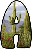 Free printable instant display digital lettering sets with a desert cactus background.