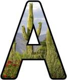 Free printable instant display digital lettering sets with a desert cactus background.