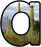 Free printable instant display digital lettering sets with a desert cactus background.
