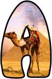 Free printable Camel in front of the Pyramids in Egypt instant display lettering sets for classroom display.