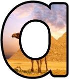 Free printable Camel in front of the Pyramids in Egypt instant display lettering sets for classroom display.