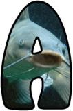Free teaching resource, printable Catfish background lettering sets for classroom display.