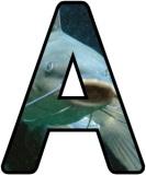 Free teaching resource, printable Catfish background lettering sets for classroom display.