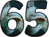 Free teaching resource, printable Catfish background lettering sets for classroom display.