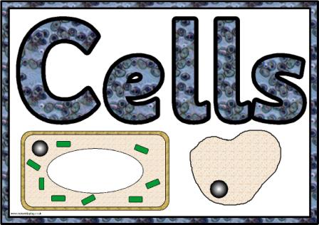Cell image extracted from: http://www.instantdisplay.co.uk/lifeprocesses.htm