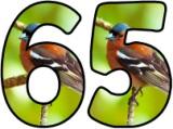 Printable instant display digital lettering sets with a Chaffinch photo background.