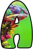Free printable Chameleon background instant display digital lettering sets for classroom bulletin board display.