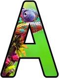 Free printable Chameleon background instant display digital lettering sets for classroom bulletin board display.