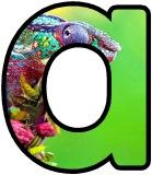 Free printable Chameleon background instant display digital lettering sets for classroom bulletin board display.