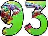 Free printable Chameleon background instant display digital lettering sets for classroom bulletin board display.
