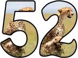 Free Cheetah background display lettering sets