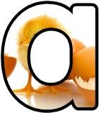 Free printable instant display digital lettering sets for classroom bulletin board display, crafting or scrapbooking. With a Chick photo background.