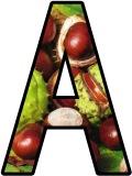 Conkers, Horsechestnut tree background free printable classroom display lettering sets