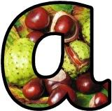 Conkers, Horsechestnut tree background free printable classroom display lettering sets