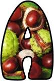 Conkers, Horsechestnut tree background free printable classroom display lettering sets