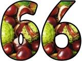 Conkers, Horsechestnut tree background free printable classroom display lettering sets