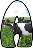 Free printable cows background instant display digital lettering sets for classroom display.