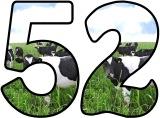 Free printable cows background instant display digital lettering sets for classroom display.