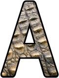 Free printable instant display digital lettering sets with a Crocodile Skin background.