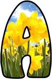 Free printable digital lettering sets with a daffodils background.
