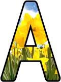 Free printable digital lettering sets with a daffodils background.