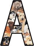 Free printable dogs background instant display lettering sets for classroom bulletin board display.