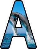 Free printable Dolphin background instant display lettering sets.