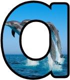 Free printable Dolphin background instant display lettering sets.