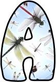 Free printable dragonflies background instant display digital lettering sets for classroom display, crafting and scrapbooking.