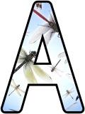 Free printable dragonflies background instant display digital lettering sets for classroom display, crafting and scrapbooking.